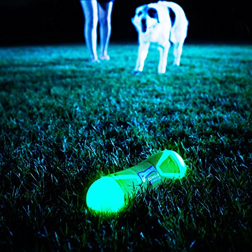 ChuckIt! CI TUMBLE BUMPER MAX GLOW LARGE - size: Large