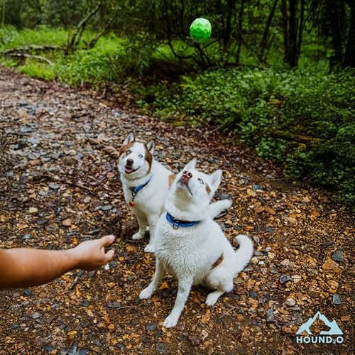Squeaky Fetch Ball - Floating Outdoor Dog Toy - Green - color: Green