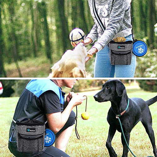 PetAmi Hands Free Dog Treat Pouch for Training and Walking, Stripes - color: Black Stripes