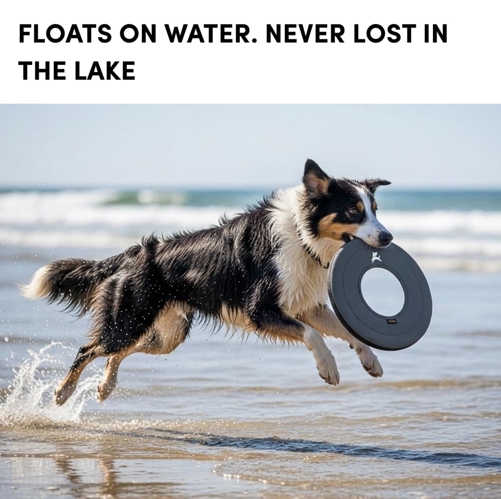 OllyDog Super Flyer Dog Flying Disc – Floating Fetch Toy for Water Play, Soft Eco-Friendly Recycled Fabric, Gentle on Teeth, 11" for Medium & Large Dogs (Castle Rock, 11") - color: Castle Rock