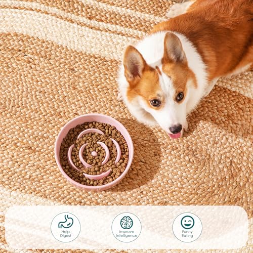 vancasso Ceramic Slow Feeder Dog Bowl, 1.5 Cup Puzzle Dish for Medium Breed - color: Pink, size: M - 1.5 Cups