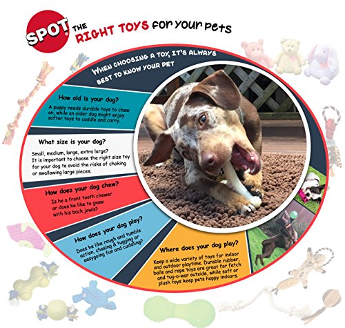 SPOT Play Strong Bone- Durable TPR Long Lasting Dog Chew for Aggressive Chewers, Hole for Treats, Virtually Indestructible Toy for Medium Dogs & Puppies - 5.5 inch - size: Medium