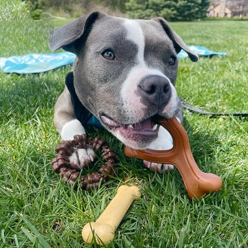 Nylabone Power Chew Customer Favorites Dog Chew Toys, 3 Count, Small - color: Bundle, size: Small