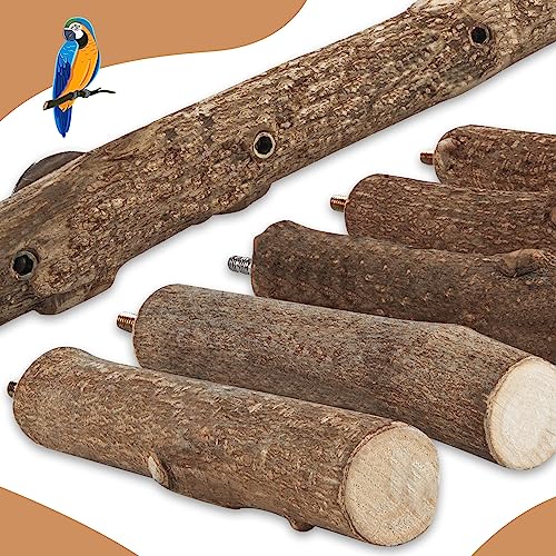 Parrot Wood Stand, Parrots Perch for Cage, Natural Bird Ladder
