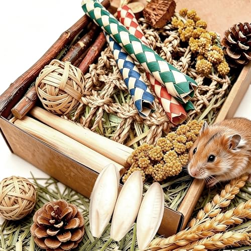 Hamster Chew Toys Box Guinea Pig Treats Bunny Toys for Teeth - size: Small