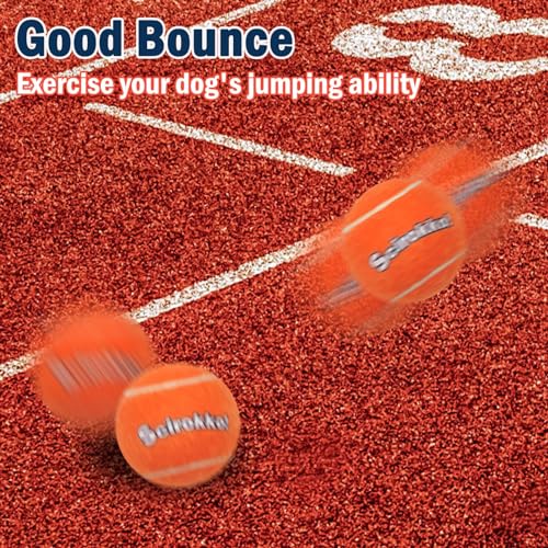 Tennis Balls for Dogs - Squeaky Bouncy Ball Toys 2.5 inches 12 Pack for Indoor Playing and Outdoor Interactive Fetch Training
