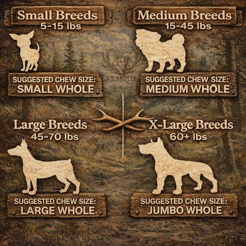 Elk Antlers for Dogs – Large Whole Natural Chew (Ideal for 40-70 lb Dogs) - size: Large, style: Whole