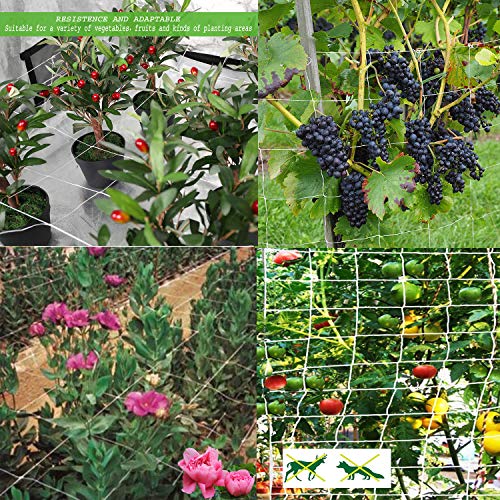 BaseGoal 3.5in Mesh Trellis Netting, 5x60ft, 1 Pack - size: 3.5" Mesh (5'X60')