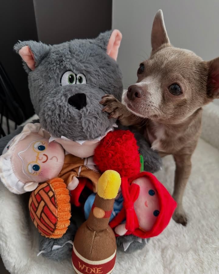 Nocciola Fairy Tale Squeaky Dog Toys, Cute Interactive Plush Stuffed Hide and Seek Cognitive Puzzle Puppy Crinkle Chew Toy for Small, Medium Breed - style: Little Red