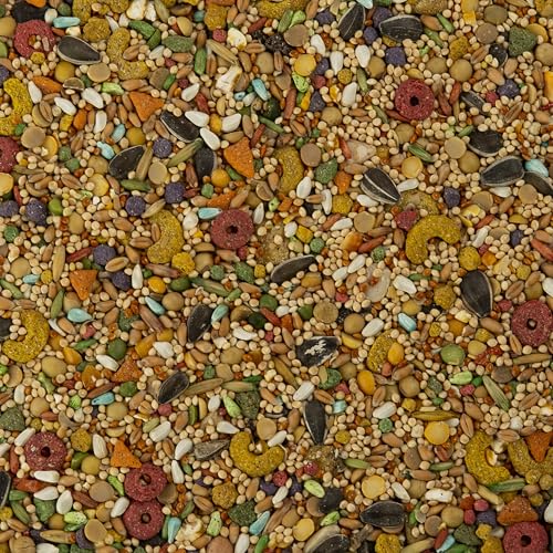 Wild Harvest Advanced Nutrition Bird Food for Cockatiel, 8 lbs - size: 8 Pound (Pack of 1)