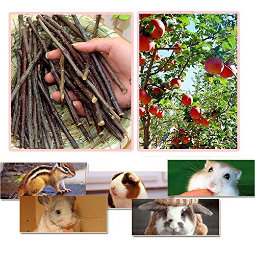 sharllen 500g(18oz) Apple Sticks Pet Chew Toys for Rabbits Chinchilla Guinea Pigs - size: 1.13 Pound (Pack of 1)