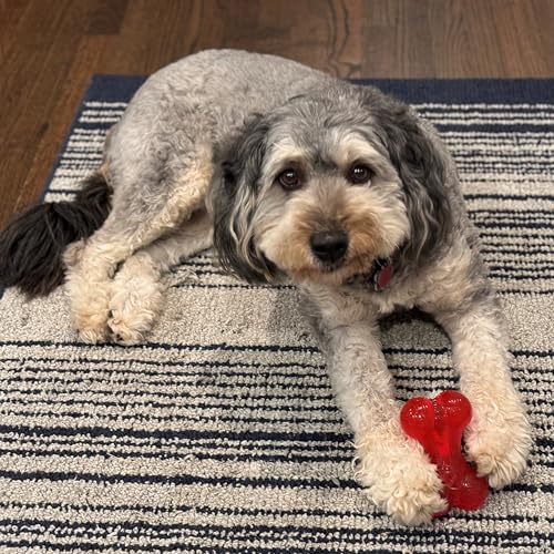 SPOT Play Strong Bone- Durable TPR Long Lasting Dog Chew for Aggressive Chewers, Hole for Treats, Virtually Indestructible Toy for Small and Medium Dogs & Puppies - 4.5 inch - size: Small