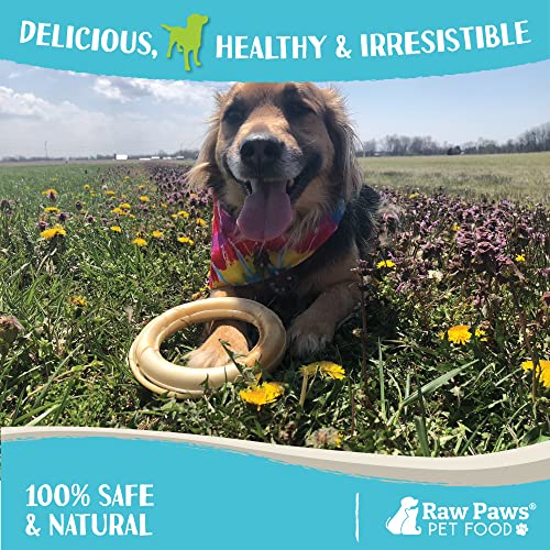 Raw Paws 6-inch Compressed Rawhide Rings for Dogs, 5-Count - Donut Chews - size: 1 Count (Pack of 5)