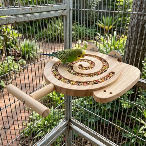 Bird Foraging Toys with Perch Snail Wood Bird Enrichment Toys for Slow Feed