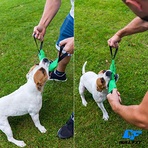 Bull Fit K9 Dog Bite Tug Toy with 2 Strong Handles - Made of Durable & Tear-Resistant French Linen - Perfect for Tug of War, Fetch & Puppy Training - Ideal for Medium to Large Breeds - color: Pink