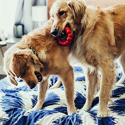 KONG Ring and Goodie Ribbon, Durable Rubber Dog Toys, for Small Dogs - size: Small