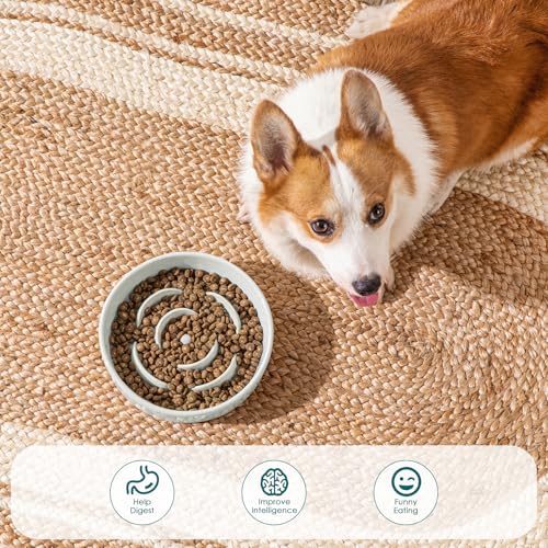 vancasso Slow Feeder Dog Bowl, 1.5 Cup Ceramic Puzzle Dish for Medium Breed - color: Grayish Cyan, size: M - 1.5 Cups