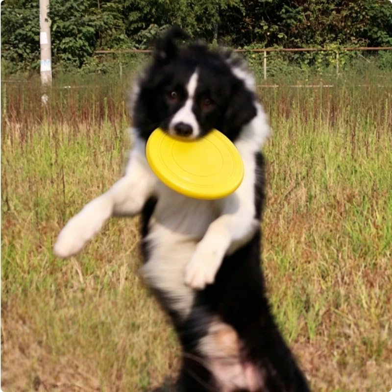 1/2 Pack Dog Flying Disc Soft Rubber Bite Resistant Floatable for Fetch Training Park Beach Pool Play, 1pc, Yellow