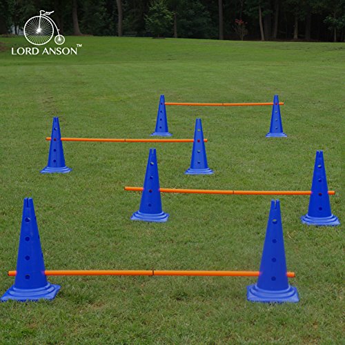 Dog Agility Hurdle Cone Set - Canine Training Set - Obedience, Rehabilitation - 16 Cones and 8 Rods - size: 16 cones / 8 rods