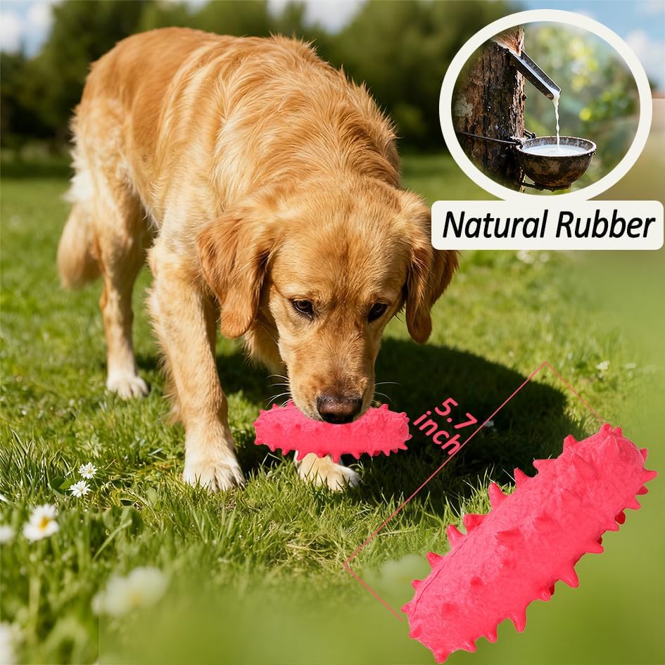 2 Pack Dog Pool Toys, Water Floating Toys for Puppies, Soft Foaming Rubber Toys for Small Medium Breed Dogs, Pink