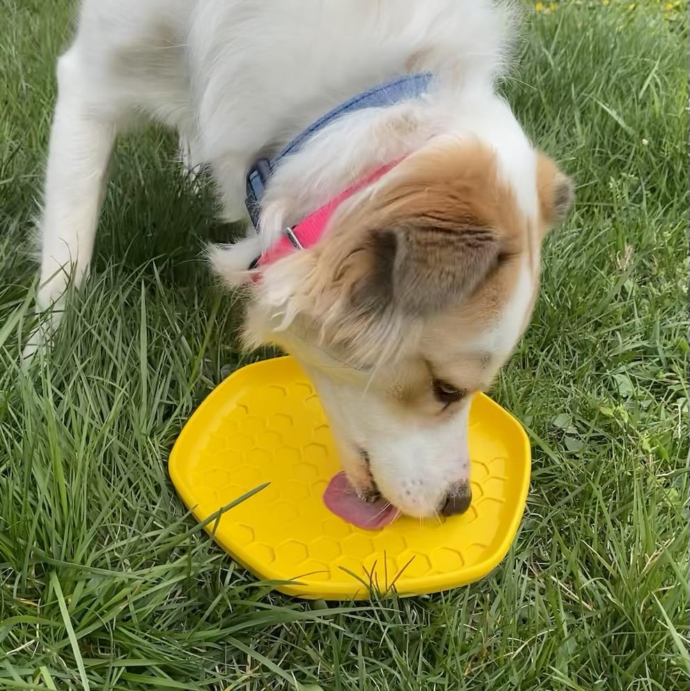 PROJECT HIVE ·PET COMPANY· Dog disc - Great for Fetch - Includes a Lick mat on Back - Floats in Water, Smooth Glide - Made in The USA (Unscented Yellow) - color: Unscented Yellow