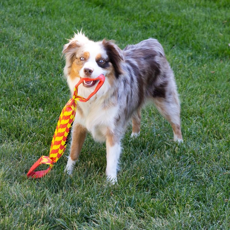 KONG Maxx Tug - Durable Interactive Tug Toy with 2 Handles - Large