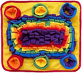 Interactive Dog Snuffle Mat for Mental Stimulation and Enrichment for Dogs, Pigs, Rabbits, and Other Pets (Rainbow) - color: Rainbow