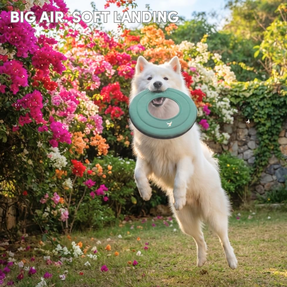 OllyDog Mini Super Flyer, Dog Flying Disc – Floating Fetch Toy, Soft on Teeth, Eco-Friendly Recycled Material, Lightweight, for Small & Medium Dogs (Surf, 9") - color: Surf