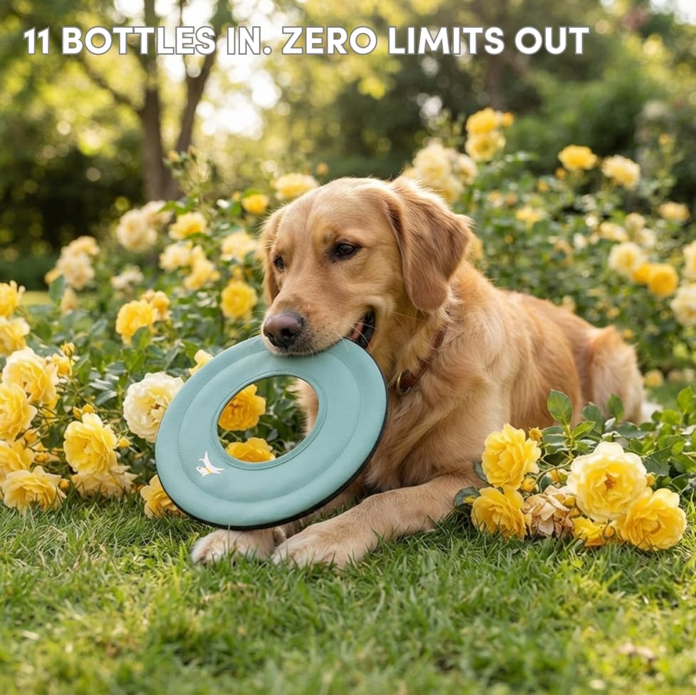 OllyDog Mini Super Flyer, Dog Flying Disc – Floating Fetch Toy, Soft on Teeth, Eco-Friendly Recycled Material, Lightweight, for Small & Medium Dogs (Surf, 9") - color: Surf